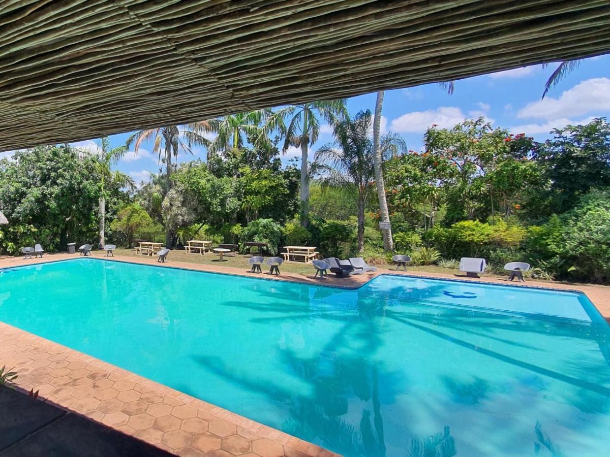 Bushpigs Haven Apartment Japaratinga Ngoại thất bức ảnh